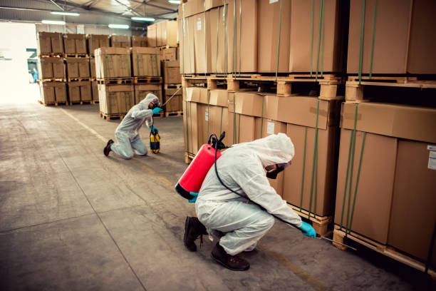 Best Mosquito Control Services  in Duryea, PA