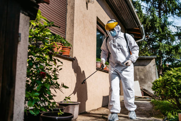 Best Pest Inspection Near Me  in Duryea, PA