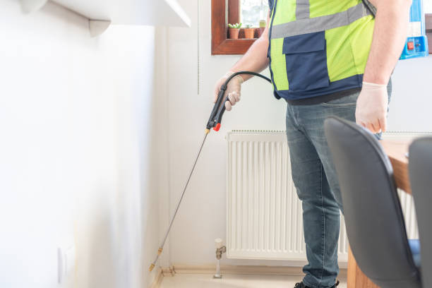 Best Ant Control Services  in Duryea, PA