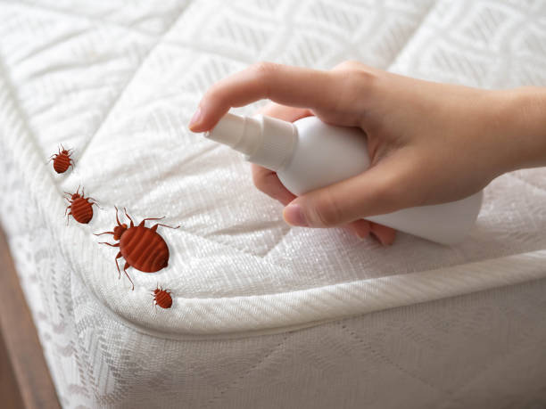 Best Commercial Pest Control Services  in Duryea, PA